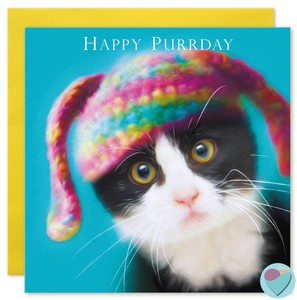 Funny Cat Kitten Birthday Cards Sister Niece Bunny Ears To Or From
