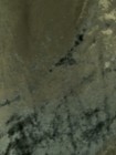 Bild 7 von 7