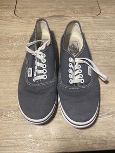 vans authentic lo pro pewter