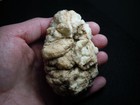 Bild 7 von 12