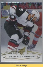 2018-19 Upper Deck Silver Foil Brad Richardson #258 READ z6b