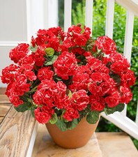 8Pcs Artificial Geranium Flowers Fake Plants Indoor Outdoor Home Garden Decor UK