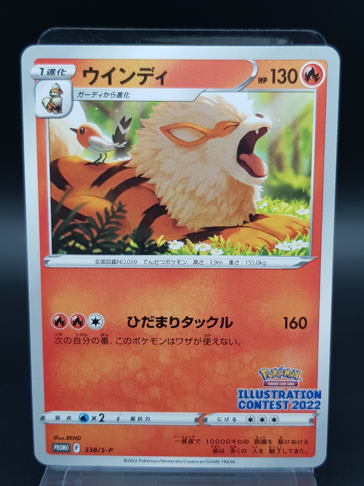 Pokemon Arcanine 338/S-P Illustration Contest 2022 Black Star Promo NM JPN