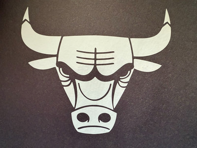 NBA CHICAGO BULLS BASKETBALL VINYL STICKER DECAL