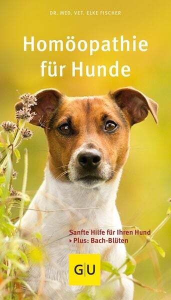 Thumbnail - Homöopathie Für Hunde