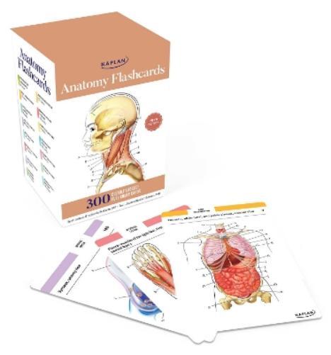 Joanne Tillotso Anatomy Flashcards: 300 Flashcards  (Cards) (PRESALE 26/09/2024)