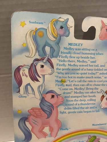 My Little Pony G1 Pegasus MEDLEY Hasbro 1983 NRFB 1/3 ungeklebt Rarität - Bild 13 von 19
