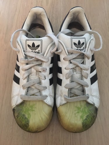 womens shell toe trainers