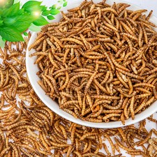 Freeze Dried Mealworms Non-GMO Organic Bul for Wild Blue Bird Food Chickens Hen
