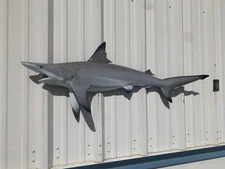 45" Blacktip Shark Half Mount Shark Replica - In Stock & Ready to Ship