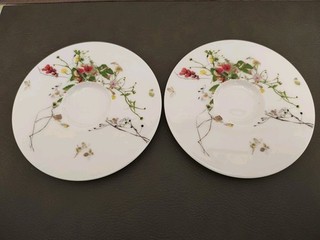 2X Rosenthal Brillance Fleurs Sauvages Untertasse 16 cm