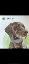 Spot On GPS Dog Collar Large 19”-26” Brand New!!