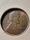 1920-P LINCOLN CENT. MS/ BU/ RB. HIGH RATED. CHOICE