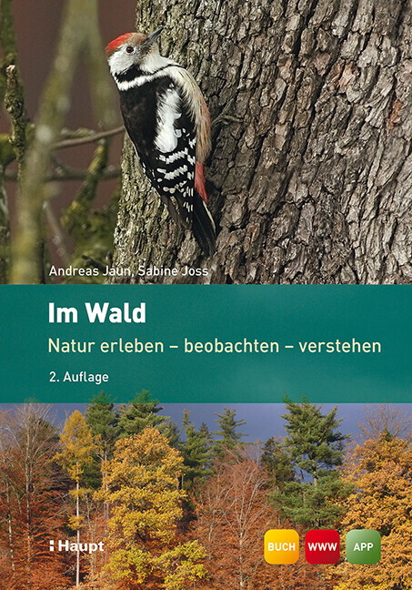 Thumbnail - Wald | Andreas Jaun, Sabine Joss | 2014 | Deutsch