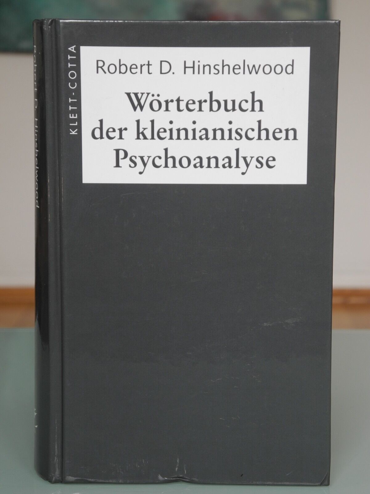Wörterbuch der kleinianischen Psychoanalyse - Robert D. Hinshelwood
