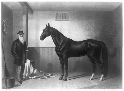 Photo:Rysdyk's Hambletonian 1876