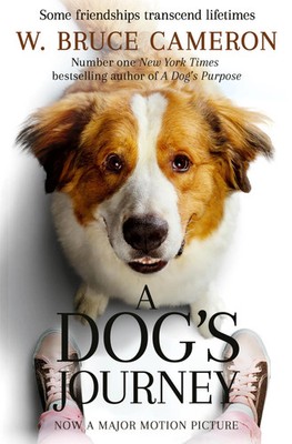 A Dog's Journey | W. Bruce Cameron | Englisch | Taschenbuch | A Dog's Journey