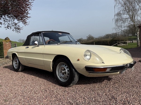 Image Placeholders2_edited.jpg