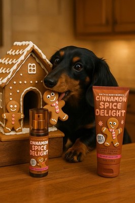 2PC 2025 CHRISTMAS CINNAMON SPICE DELIGHT ~Bath Body~MIST/CREAM Travel Size