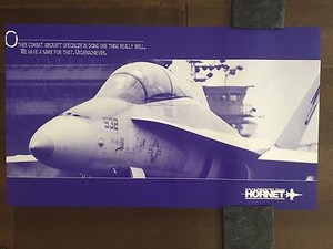 COLOR Glossy FA-18 Hornet Industry Team Aircraft Poster-circa 1990s