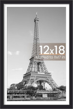 12X18 Picture Frame, Display Pictures 11X17 with Mat or 12 X 18 Without, Wall Ha