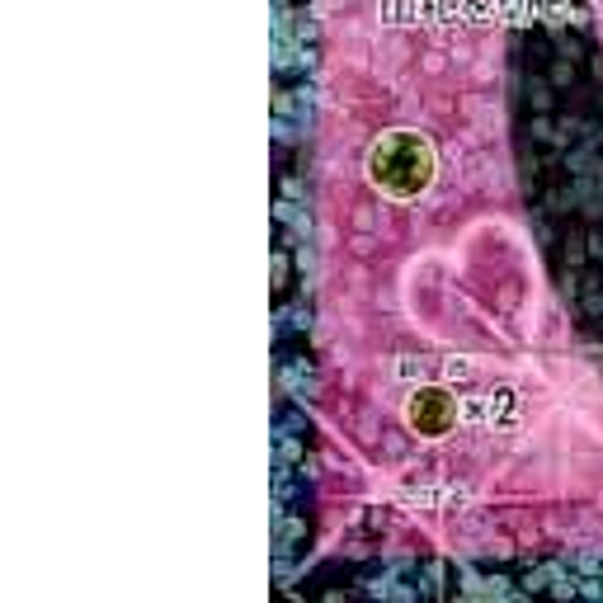 Pokemon Emolga Holo SR 023/020 SC Shiny Collection Japanese Card