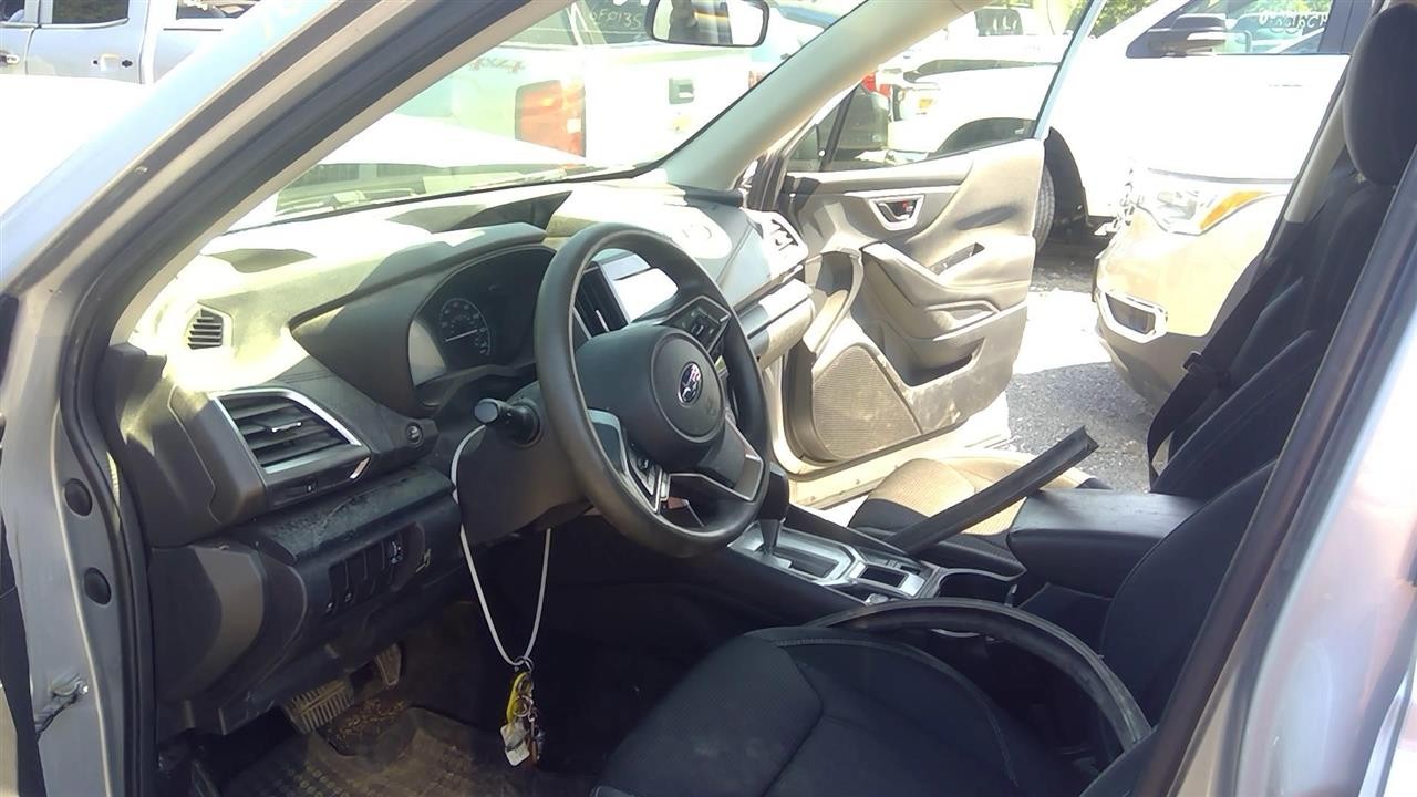 Picture 3
