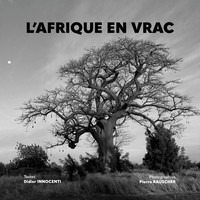 Didier Innocenti (U. A.) | L'afrique En Vrac | Taschenbuch | FranzöSisch (2020)