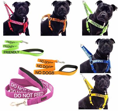 warning dog harness