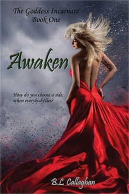 Awaken (Paperback or Softback)