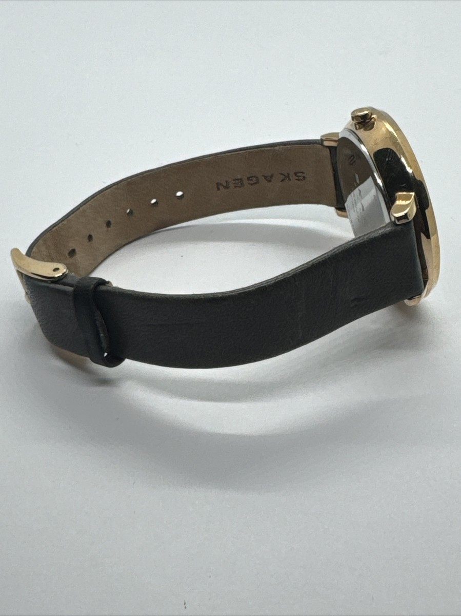 Skagen Ditte SKW2216 Women