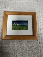 Picture Art Isle Of Lewis Port Of Ness Buttercups Miniature Framed A Barber