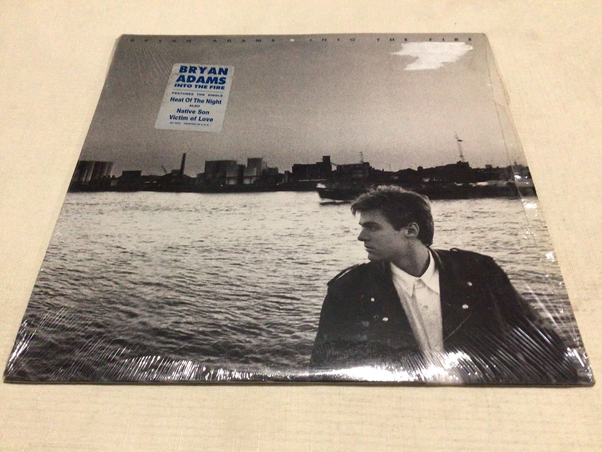 Preços baixos em Bryan Adams perfeito (M) Discos de vinil LP de