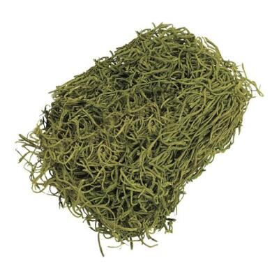 Knorr Prandell Deko Dschungelgras (spanisches Moos) 20g