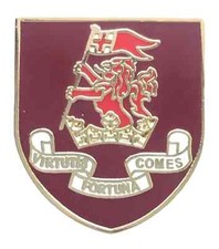 Duke Of  Wellington Regiment Crest Military Enamel Lapel Badge