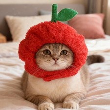 Pet Headgear Apple Shaped Warm Adjustable Decorative Soft Cat Costume