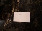 Weldy Olson  Gold Medal Signed 3x5 Index Card  Olympic Hockey — photo 9