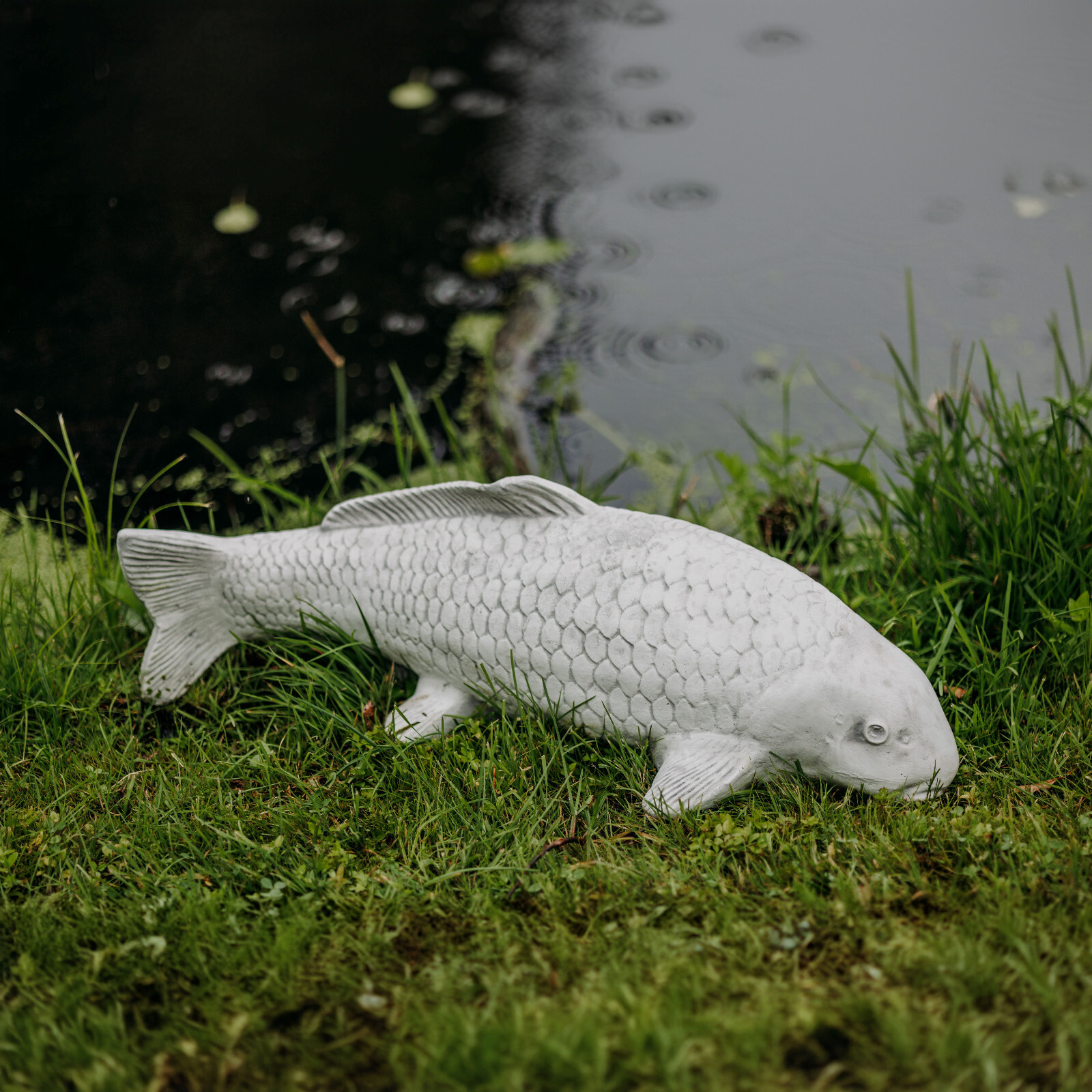 Koi Fish Nishikigoi Carp Concrete Figurine H.21 Cm 18 Kg Frost-Proof