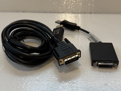 DisplayPort to Single-Link DVI-D Adaptor Cable + Extended DisplayPort to DVI-D