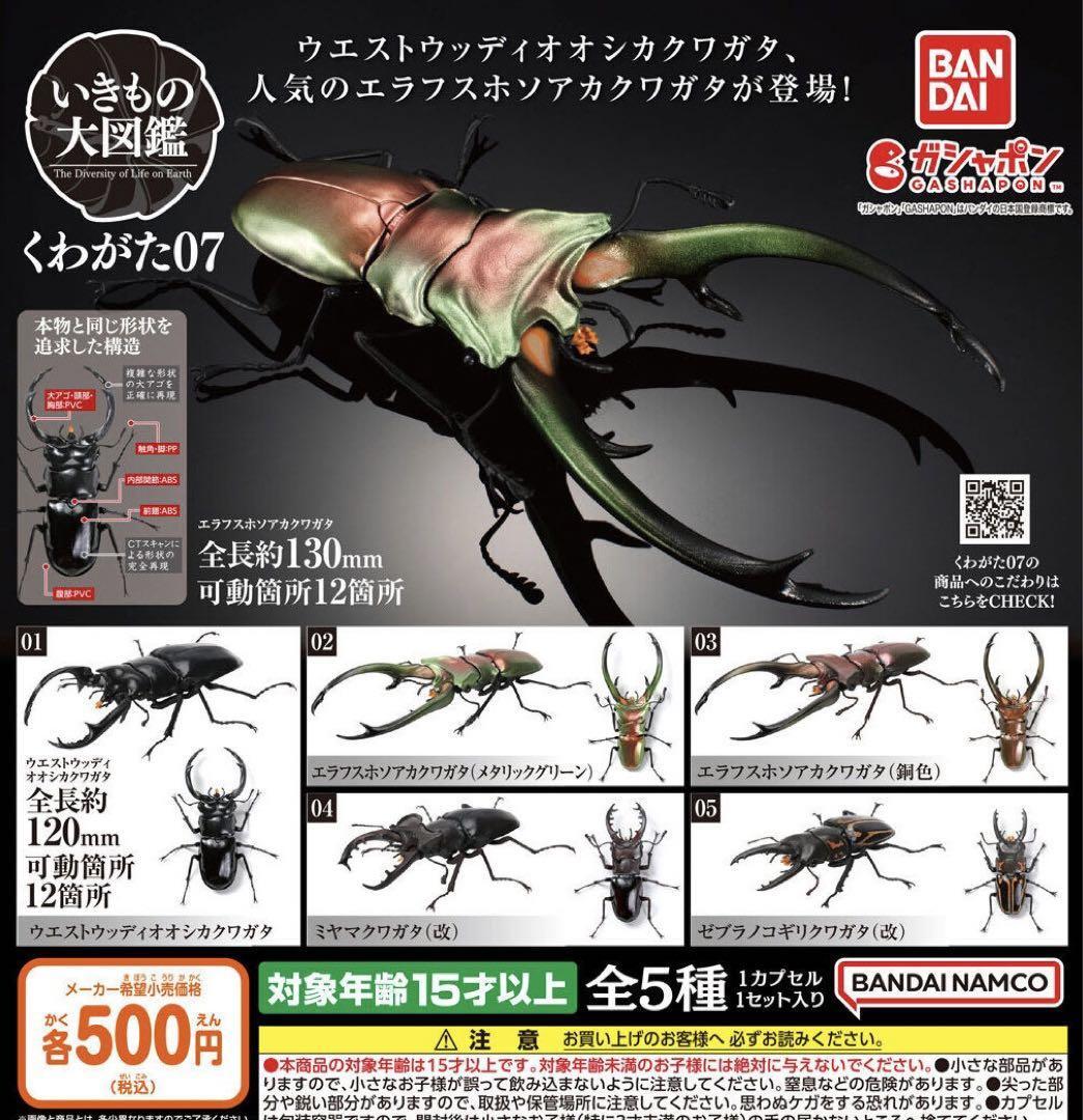 Living Creatures Encyclopedia Stag Beetles 07 Figure Full
