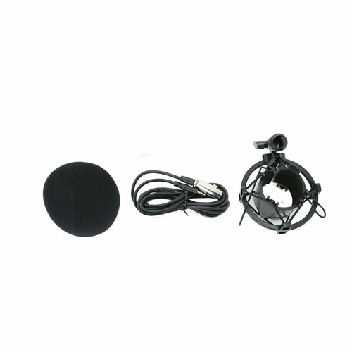 EMC920 Multi Pattern Recording Large Diaphragm Condenser Studio Microphone Blue