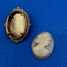 vintage CAMEO removed from setting carved shell Translucent thin 1 inch