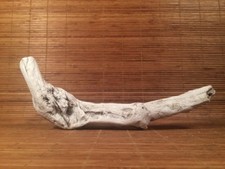 Beautiful 16" DRIFTWOOD Piece Art Terrarium Taxidermy Aquarium Reptile DECOR