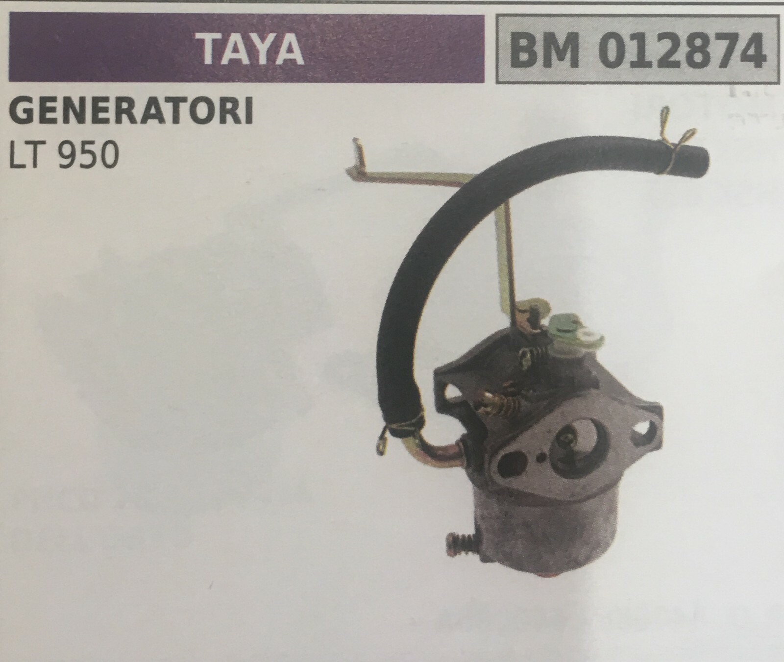 Carburatore Taya BM012874 per Giardinaggio - Qualità Brumar Garantita