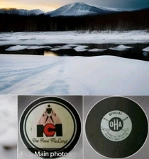 THE REAL McCOYS VICEROY MFG. VINTAGE FLAMBORO ICI GAME PUCK OHA Made In CANADA