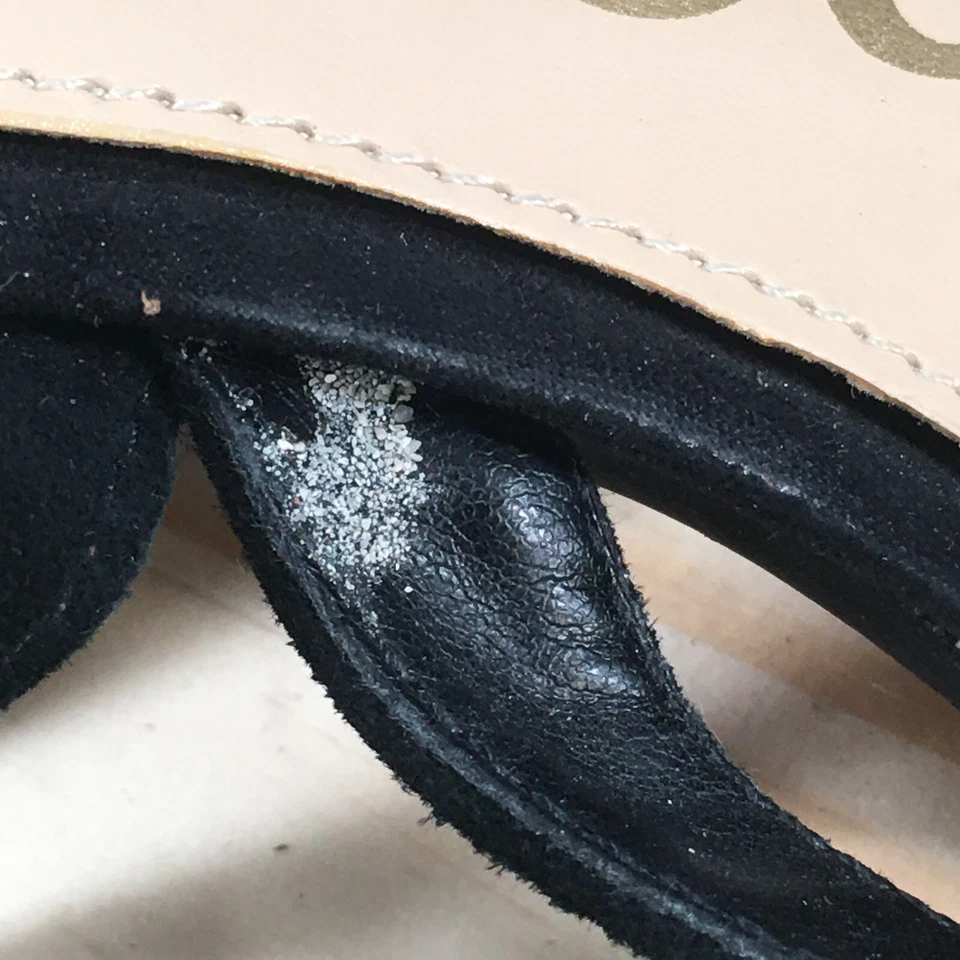 Sandalias Sam Edelman Mujer 8 M Sheri Gladiador Negro Gamuza Cuero Correa al Tobillo Foto 4 de 4