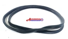 Renault Scenic II door seal door rubber front right