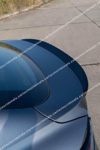 SPOILER ALETTONE POSTERIORE PER RENAULT ARKANA - Foto 11 di 20