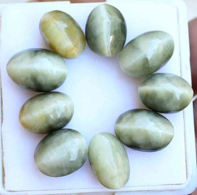 75.20 Ct 10*14 Mm Natural Cats Eye Oval Cabochon Cut Loose Gems 9 Pc