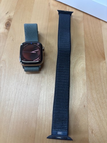 Apple Watch Series 10 – 42 mm Titan Gold + 2 Sport Loops + AppleCare+ - Bild 2 von 8
